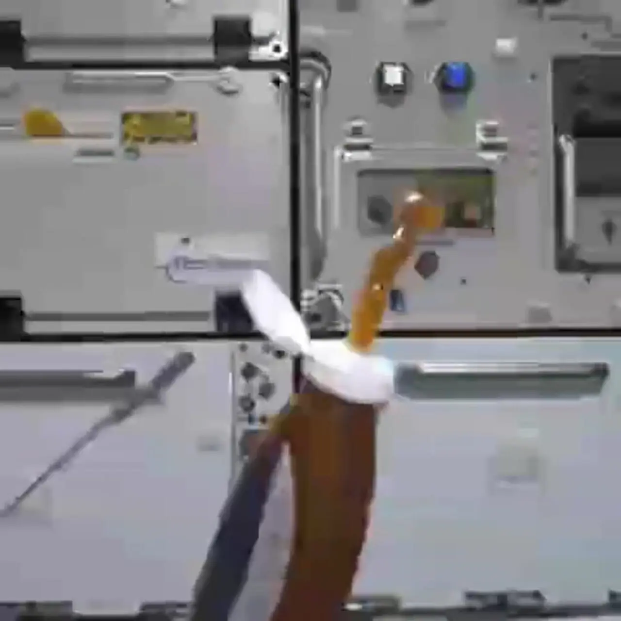 ( ویدئو) رقص عسل در ایستگاه فضایی 