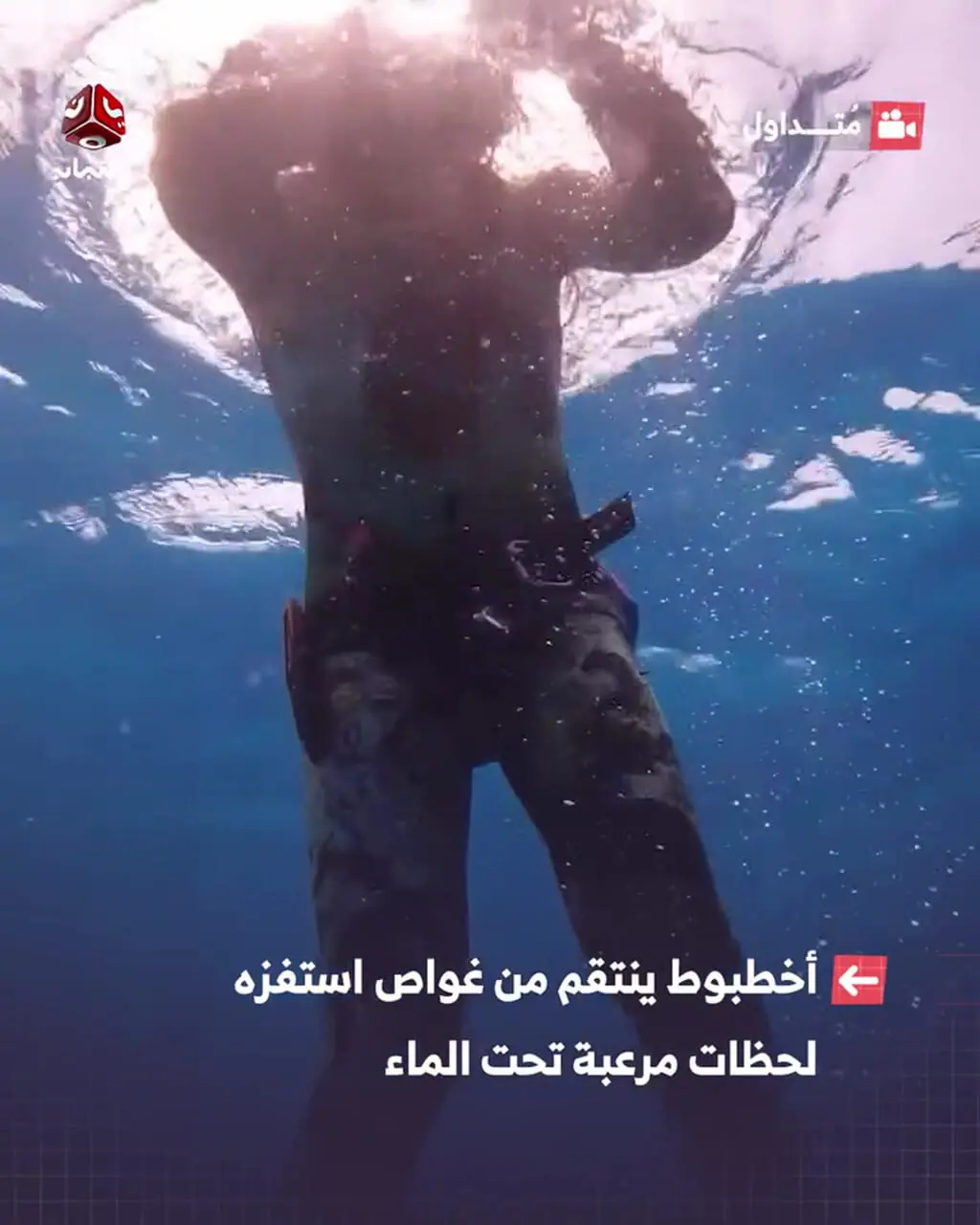 ببینید؛ کارمای آبی؛ هشت‌پا یک غواص را خفه کرد