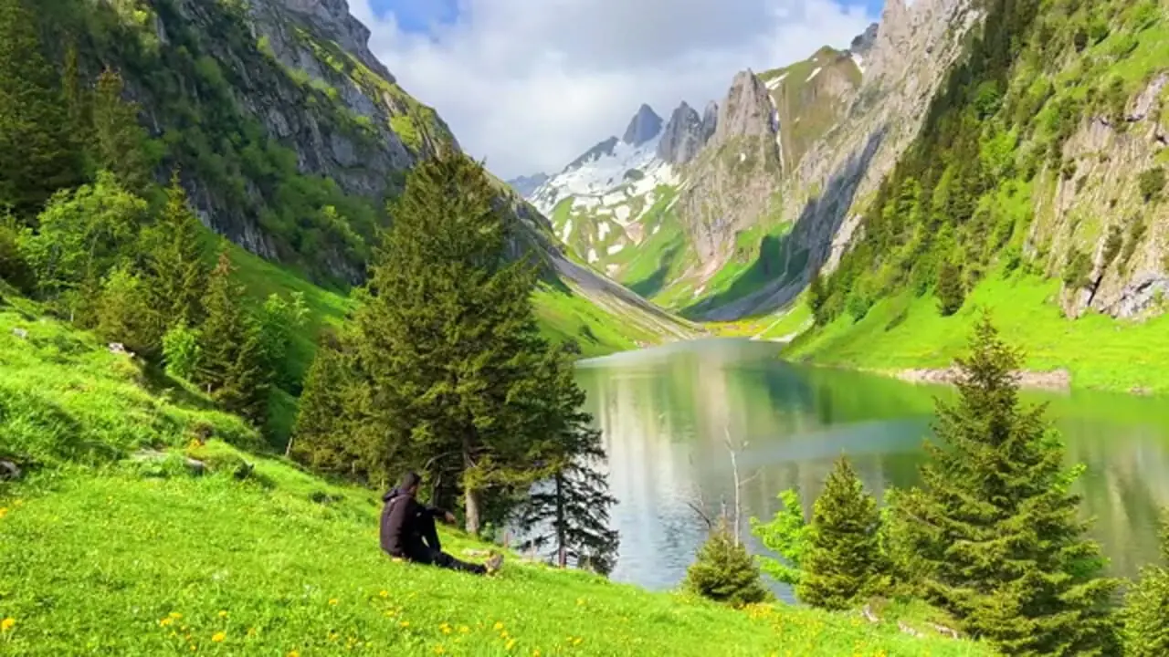 ببینید؛ غذای روستایی در سوئیس؛ تهیه پنیر و کره از شیر تازه در کوهستان آلپ