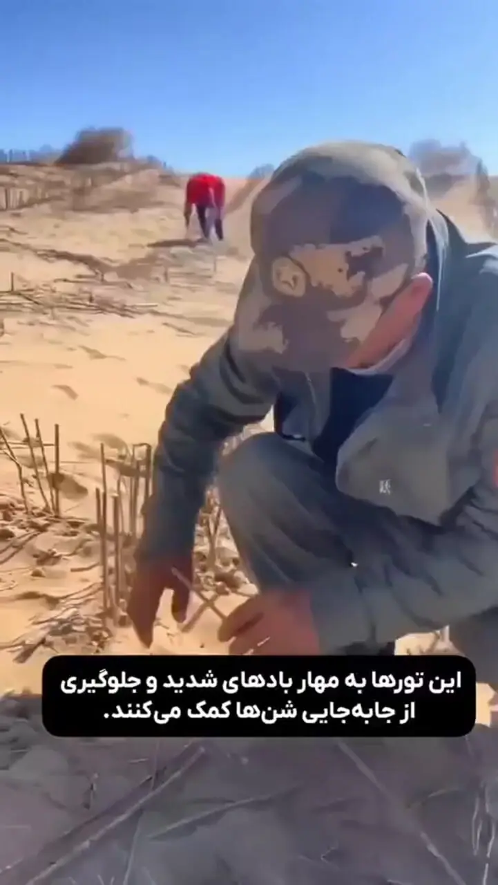 ببینید؛ تکنیک چین برای درختکاری وسط بیابان؛ تبدیل صحرا به سرزمین سبز!