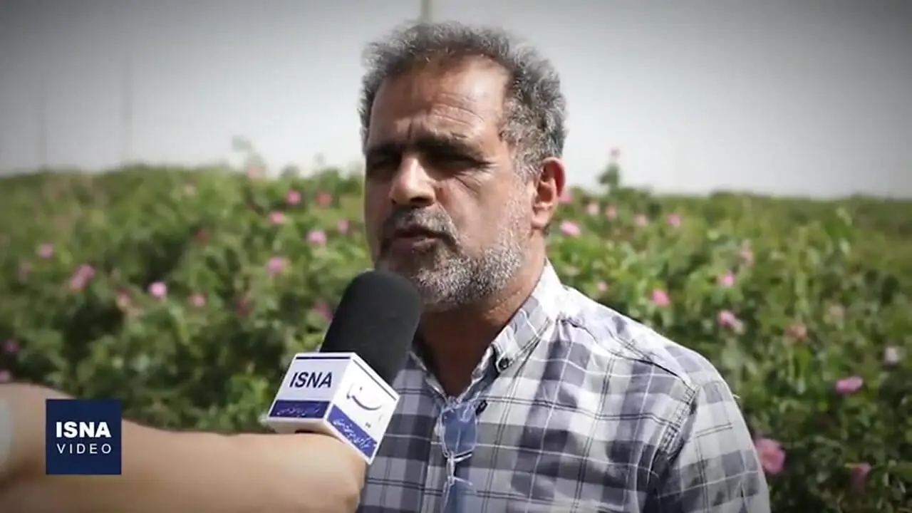 ببینید؛ کاشان؛ غرق در عطر گل و گلاب