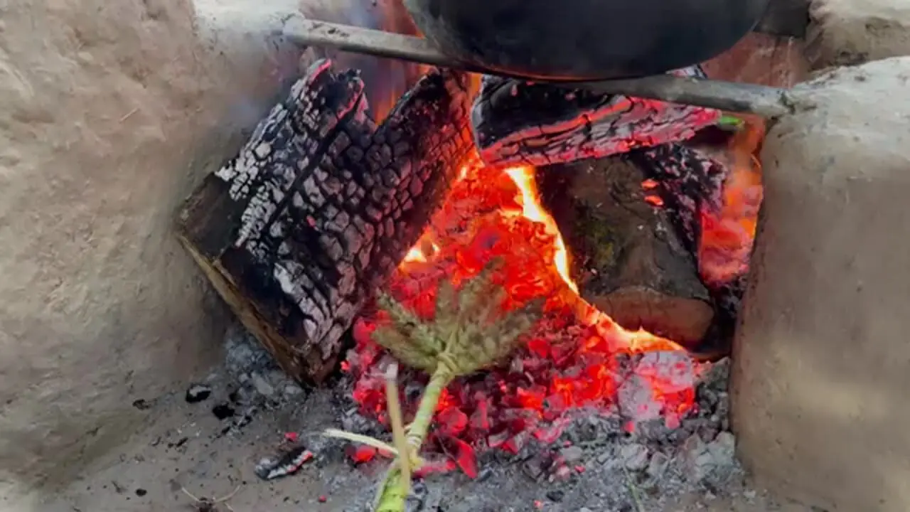 ببینید؛ غذای روستایی در ایران؛ مراحل طبخ کله پاچه به روش یک بانوی روستایی