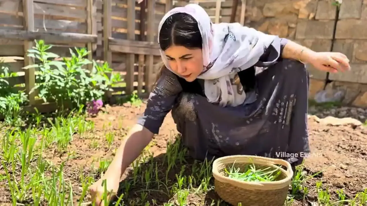 ببینید؛ غذای روستایی در کردستان؛ پخت یک چلو مرغ متفاوت و خلاقانه