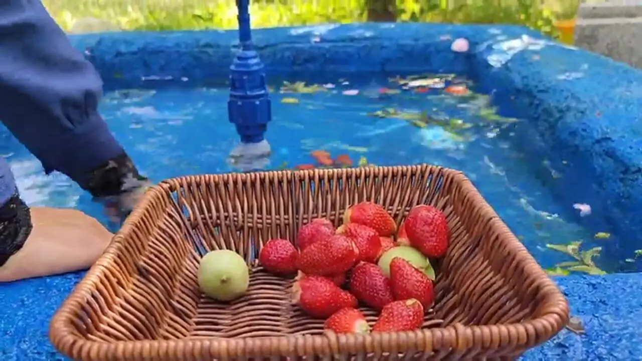 ببینید؛ غذای روستایی در ایران؛ پخت نان سنتی خرمایی