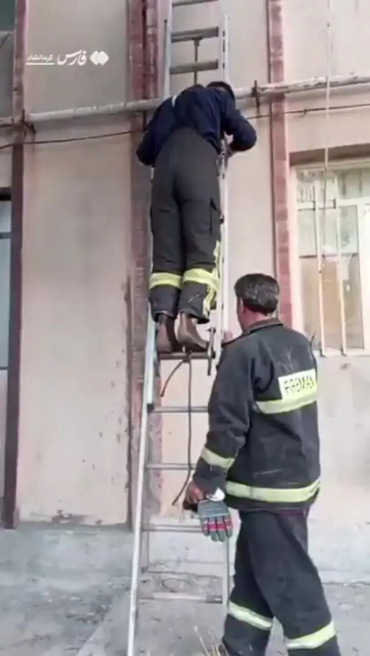 ببینید؛ نجات پرستوی گرفتار از دل دیوار توسط آتش‌نشانان کرمانشاهی