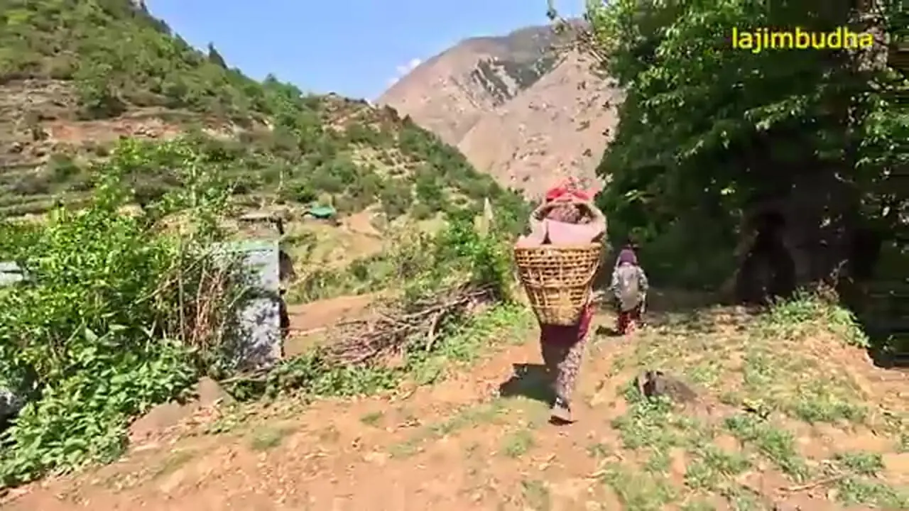 ببینید؛ غذای روستایی در نپال؛ کشت محصول و پخت غذا با نخود و لوبیا