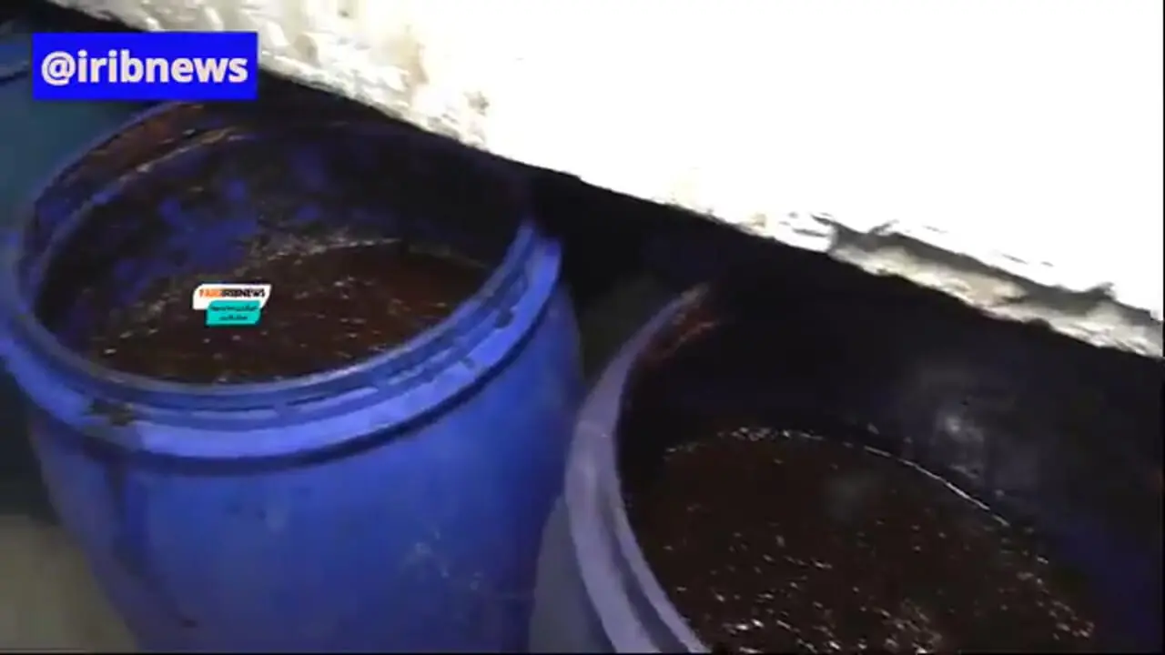 ببینید؛ پلمب کارگاه زیرزمینی تولید شیرینی و بیسکویت غیربهداشتی در شیراز