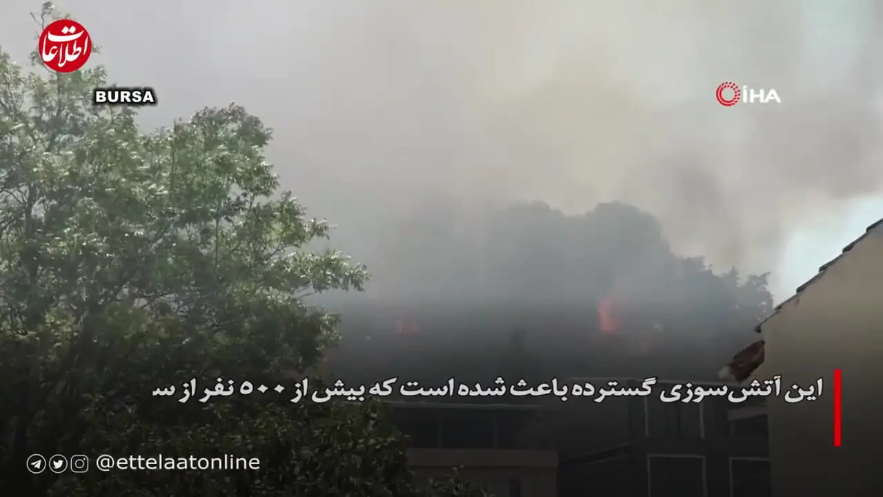 ببینید؛ تصاویر هولناک از آتش‌سوزی گسترده در جنگل‌های ترکیه