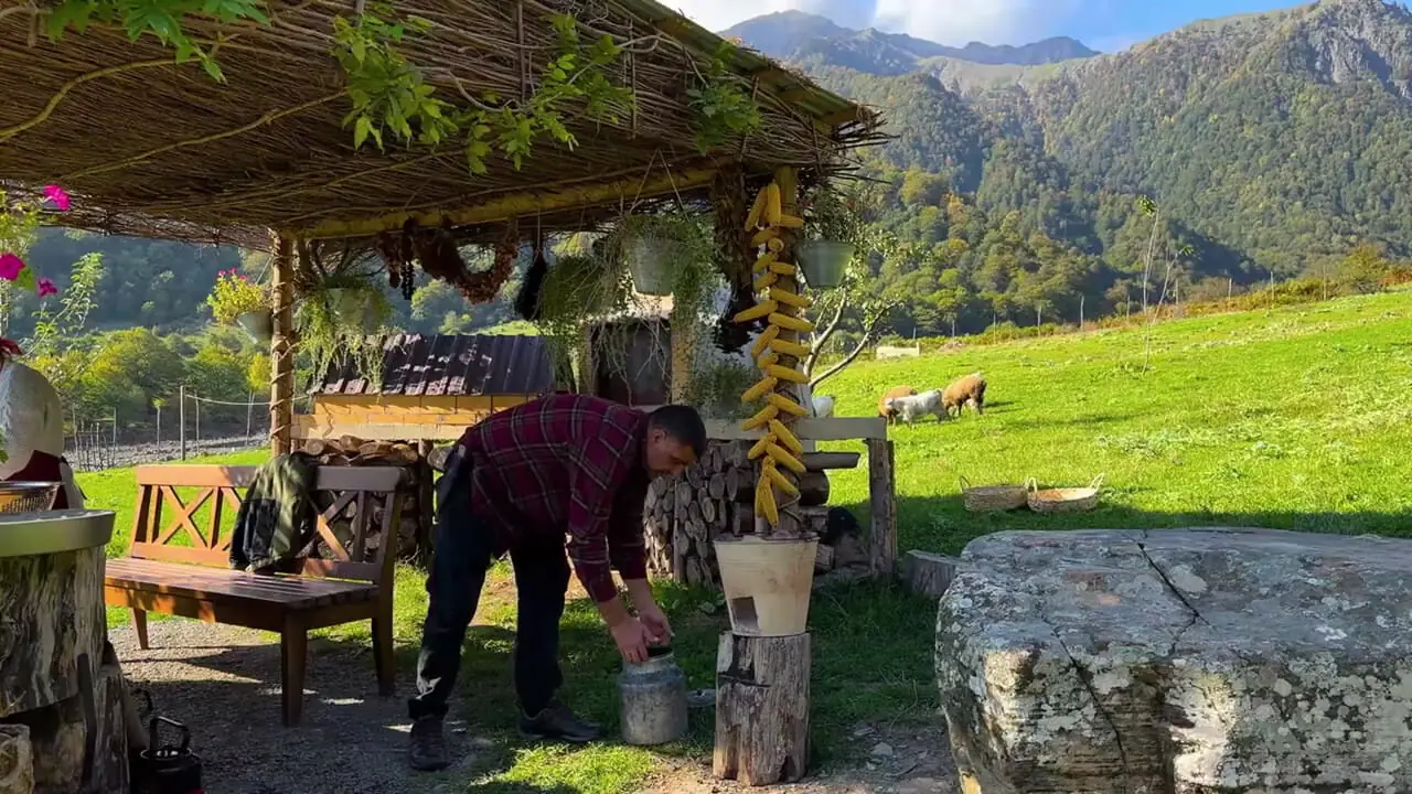 ببینید؛ غذای روستایی در آذربایجان؛ برداشت قارچ های وحشی کوهستان و پخت غذای سنتی با آ نها
