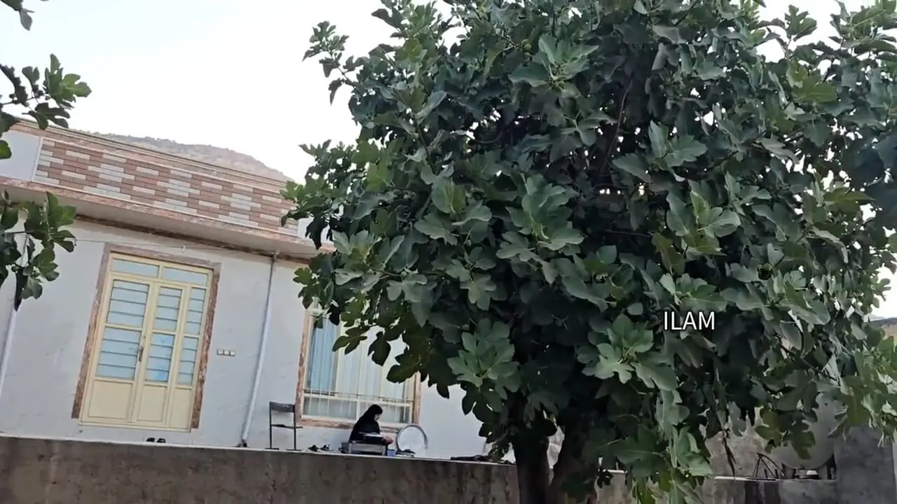 ببینید؛ غذای روستایی در ایلام؛ برداشت بادمجان از مزرعه و پخت غذای سنتی با آن