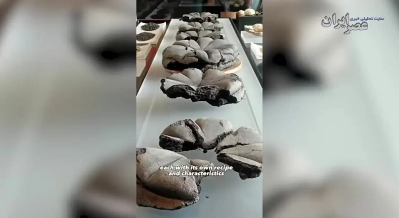 ببینید؛ کشف نان‌های ۲۰۰۰ ساله در پمپیی؛ شواهدی از زندگی روزمره در آستانه فاجعه آتشفشانی