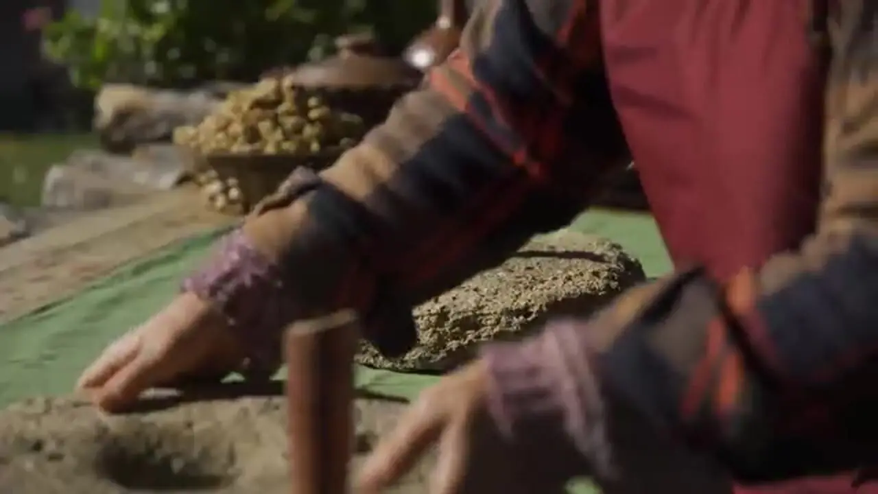 ببینید؛ غذای روستایی در آذربایجان؛ جمع آوری گردو و تهیه روغن و کیک با آن در طبیعت روستا