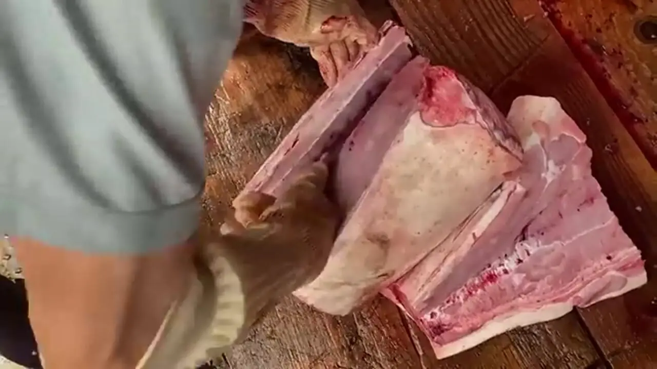 ببینید؛ برش زدن ماهرانه یک کوسه ماهی بزرگ توسط ماهی فروش کره ای