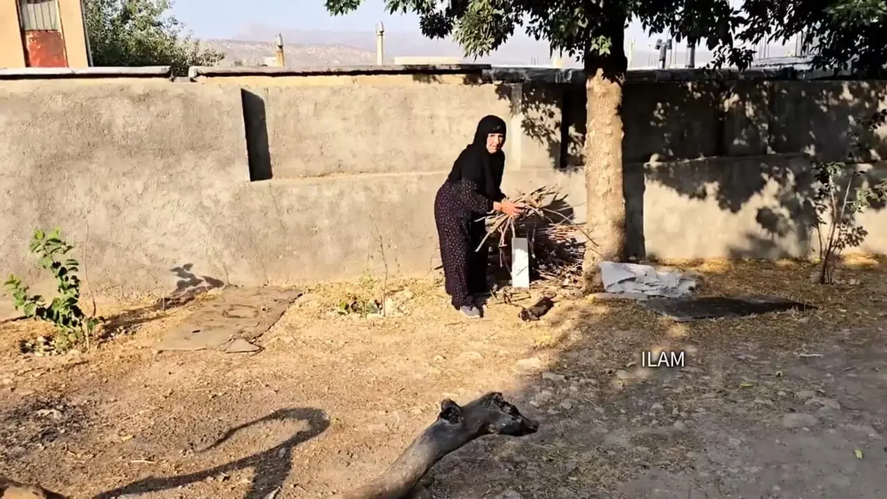 ببینید؛ غذای روستایی در ایران؛ پخت سبزی پلو با ماهی توسط مادربزرگ روستایی