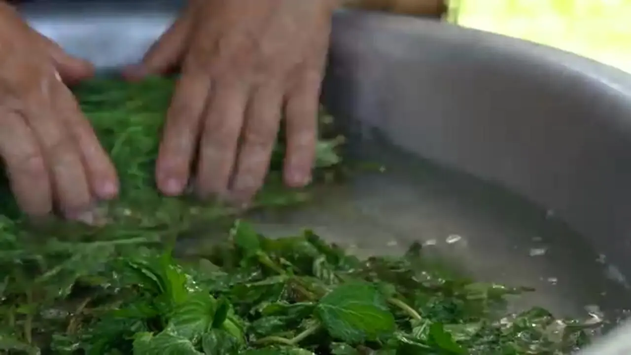 ببینید؛ غذای روستایی در آذربایجان؛ تهیه دوغ، سوپ ماست و نان تنوری توسط مادربزرگ روستایی