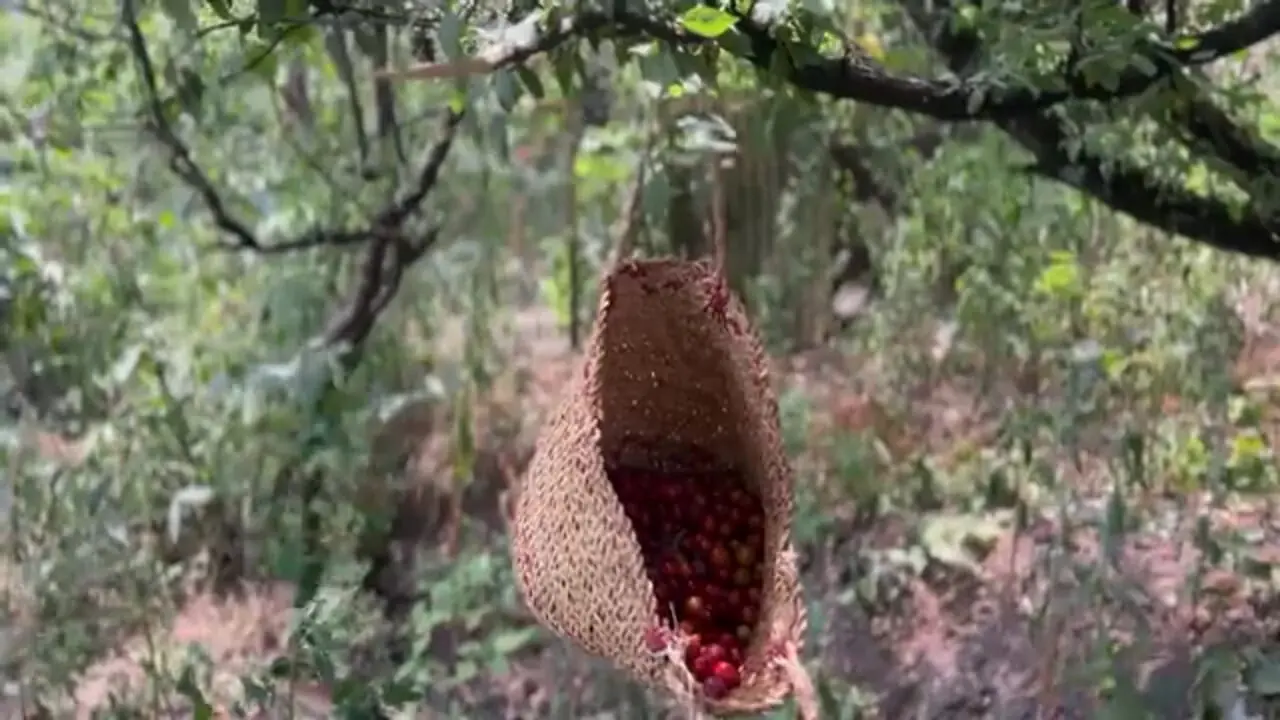 ببینید؛ غذای روستایی در ایران؛ تهیه شربت آلو و کره خانگی