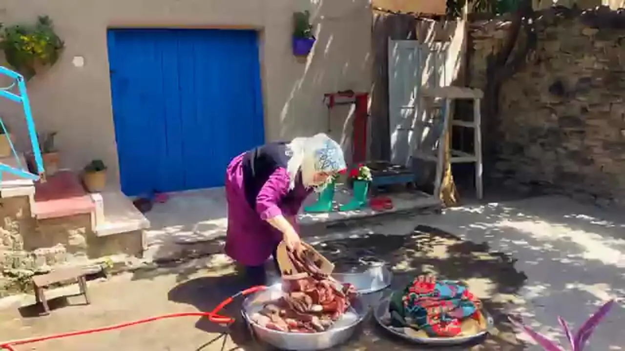 ببینید؛ غذای روستایی در ایران؛ پخت یک غذای سنتی با گوجه و بادمجان