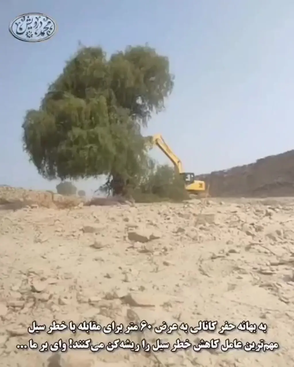 ببینید؛ فاجعه درخت‌کُشان در هرمزگان به بهانه کاهش خطر سیل!