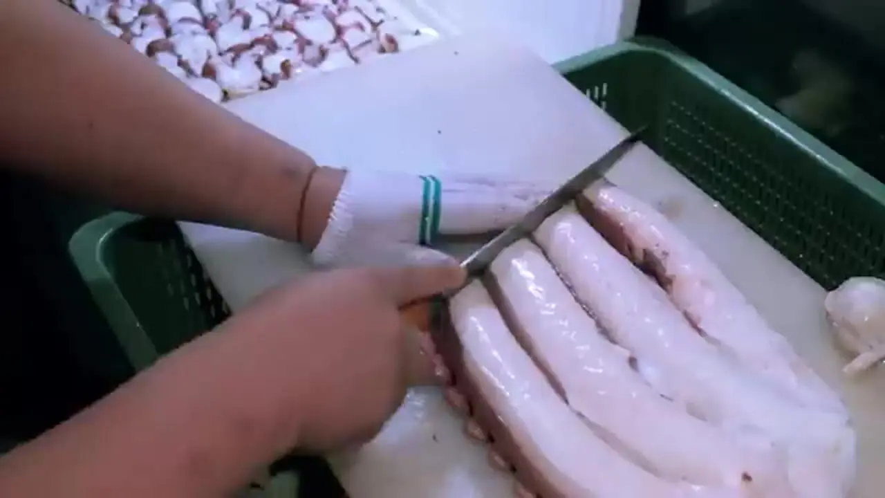 ببینید؛ غذای خیابانی در کره؛ پخت غذاهای سنتی با اختاپوس در سئول