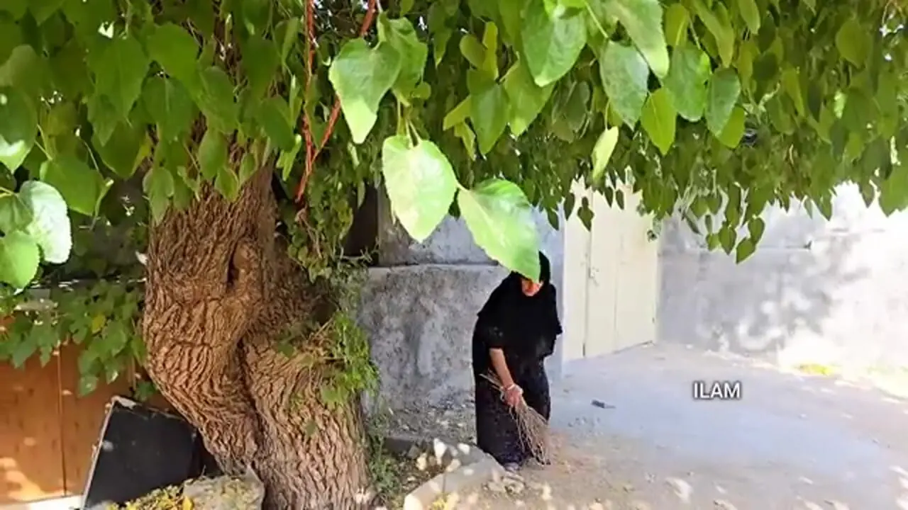 ببینید؛ غذای روستایی در ایران؛ تهیه ماست، دوغ و کشک محلd