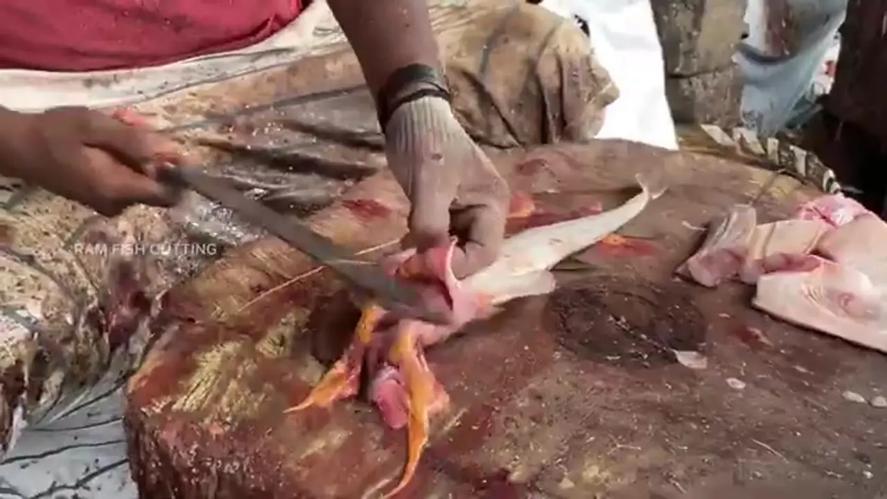 هنر ماهی فروش هندی در برش با دقت و سرعت ماهی پامفرت کنار خیابان