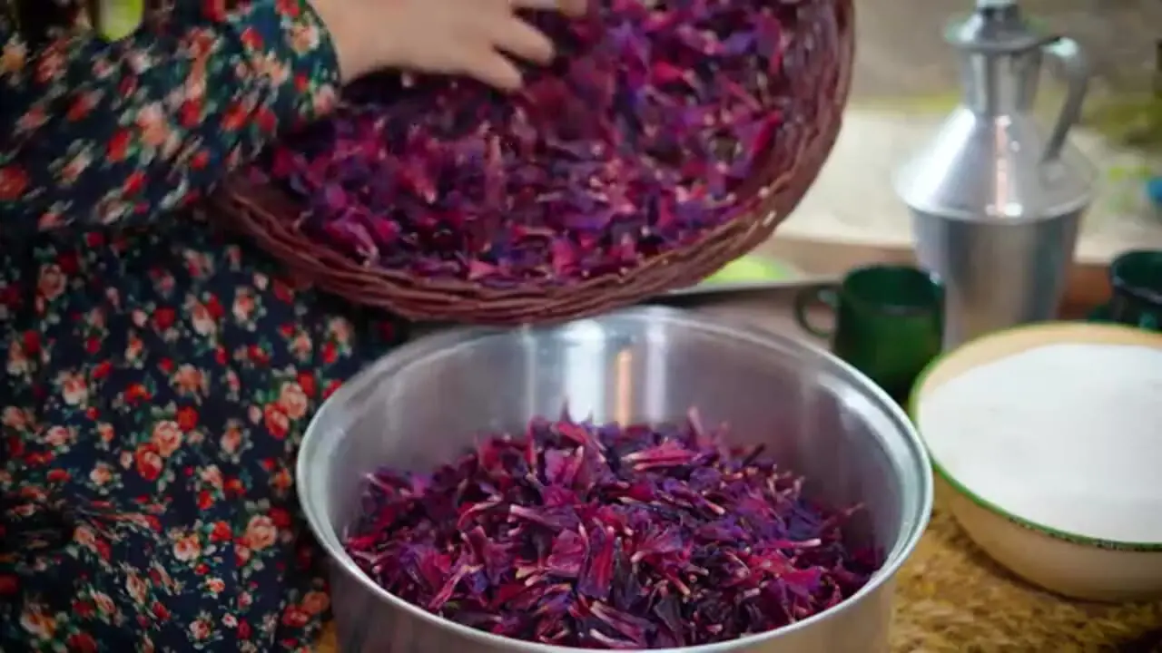 ببینید؛ غذای روستایی در ایران؛ برداشت گل گاو زبان از کوهستان و تهیه مربا و دمنوش با آن