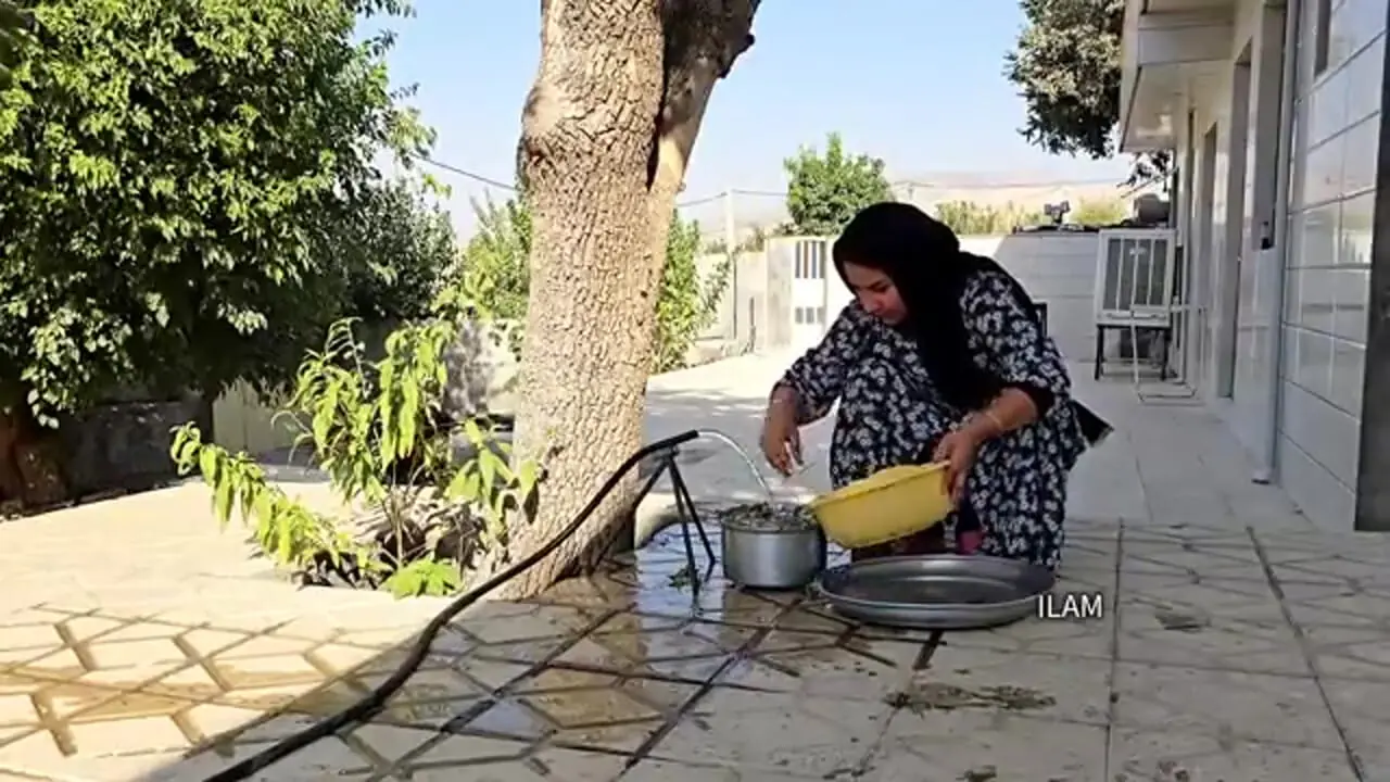 ببینید؛ غذای روستایی در ایران؛ برداشت خرفه و تهیه بورانی با آن