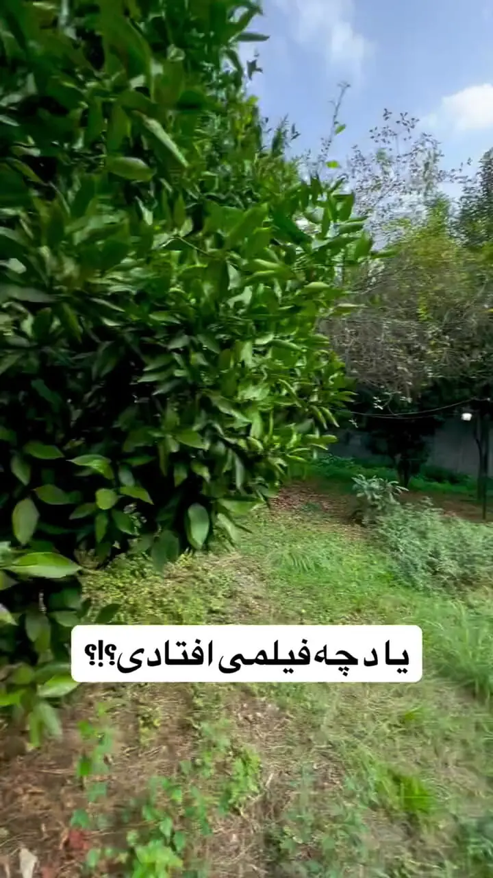 ببینید؛ این ویلا شما را مستقیم به دنیای جومانجی می‌برد!