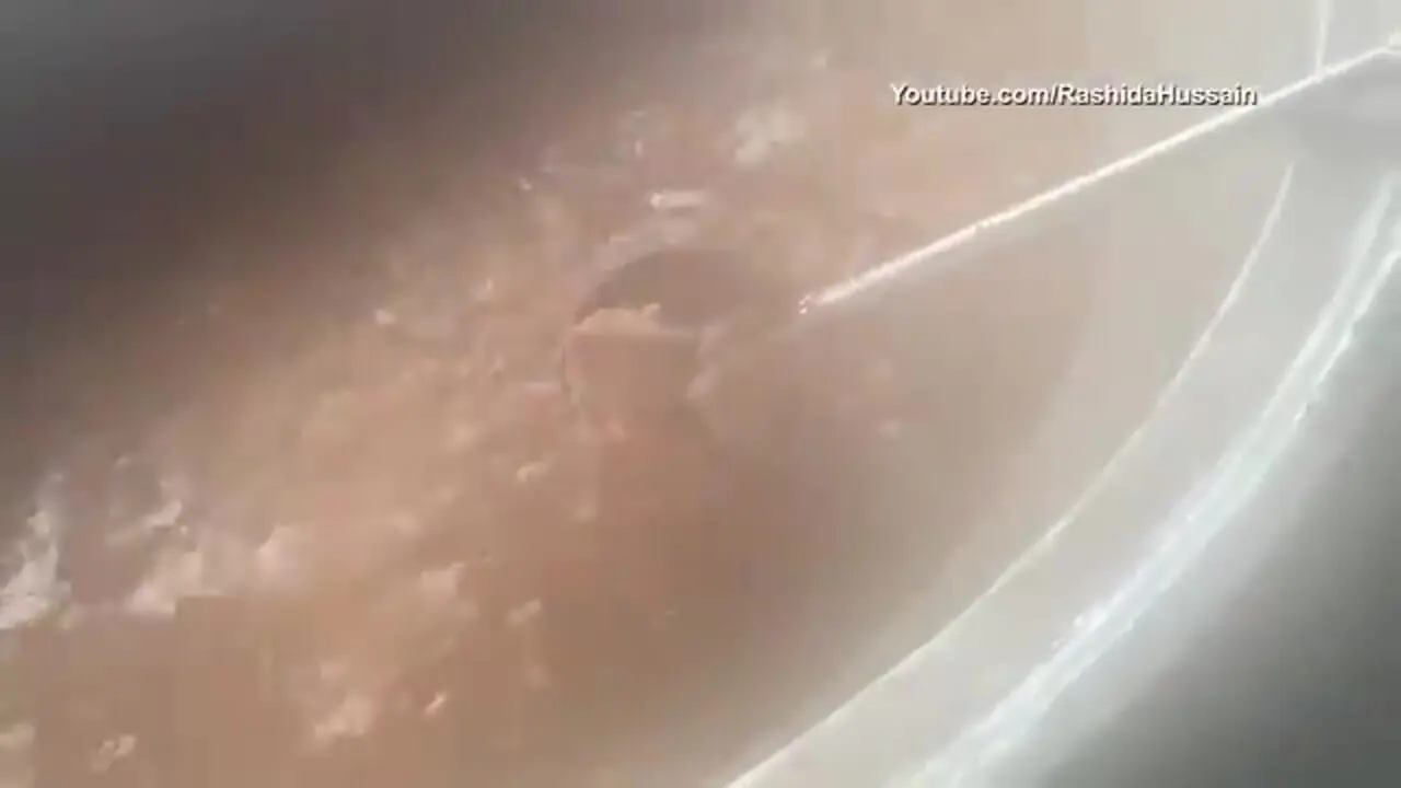 ببینید؛ غذای خیابانی در پاکستان؛ پخت 40 کیلو کابلی پلو با گوشت در پیشاور