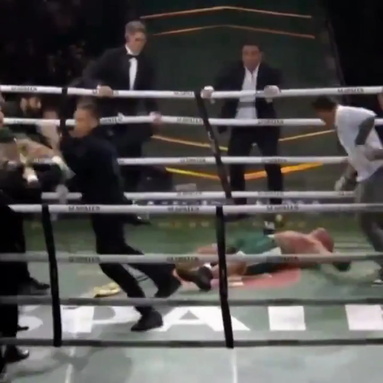 ببینید؛ ناک‌اوت شدن ستاره دنیای MMA در جریان درگیری پس از پایان مسابقه