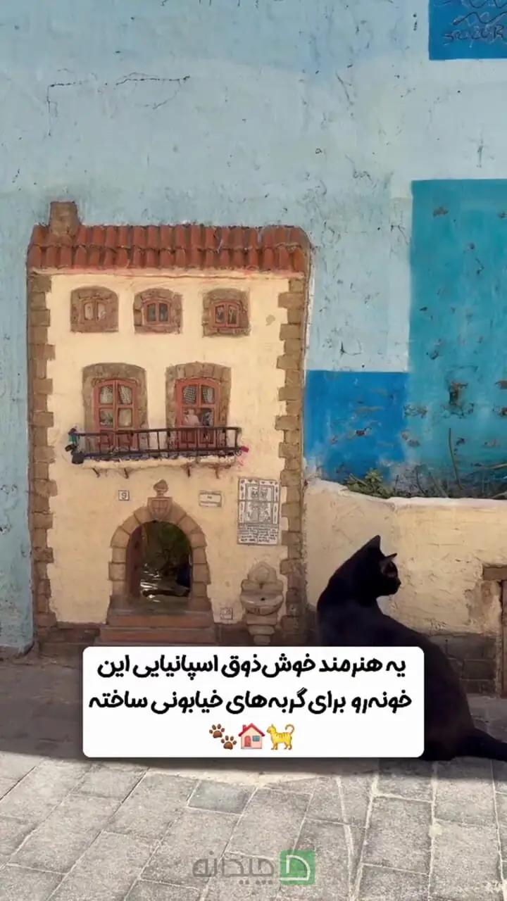 ببینید؛ در اسپانیا حتی گربه‌ها هم خانه دارند!