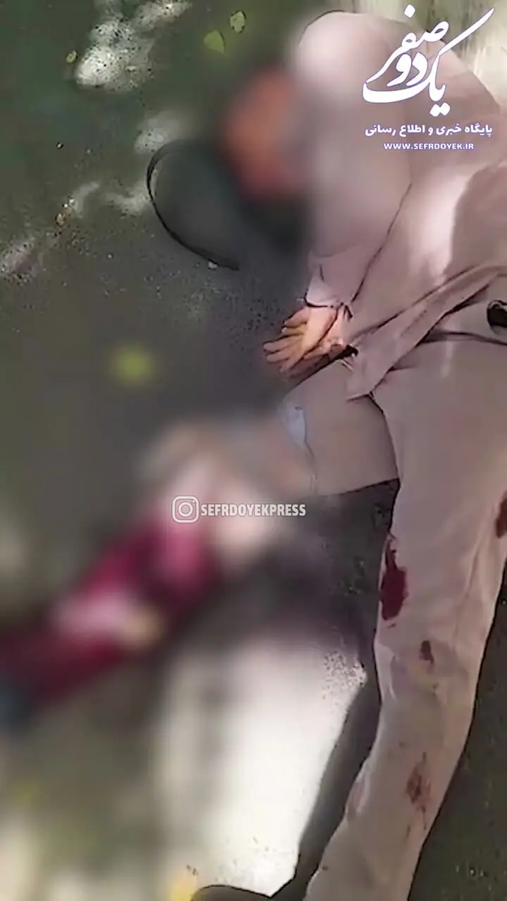 ببینید؛ زمین‌گیر شدن سارق منزل با شلیک دقیق ماموران پلیس تهران در محدوده یوسف آباد