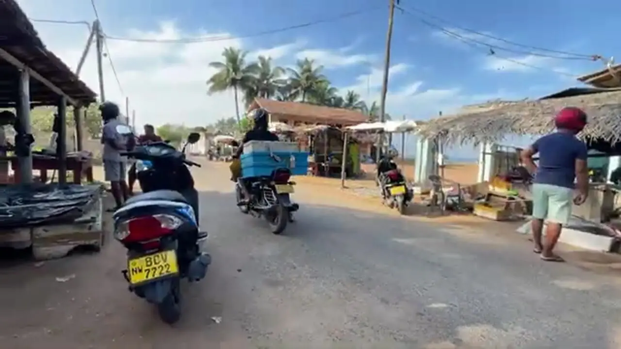 صید کوسه سر چکشی کمیاب و برش ماهرانه آن در سواحل سریلانکا