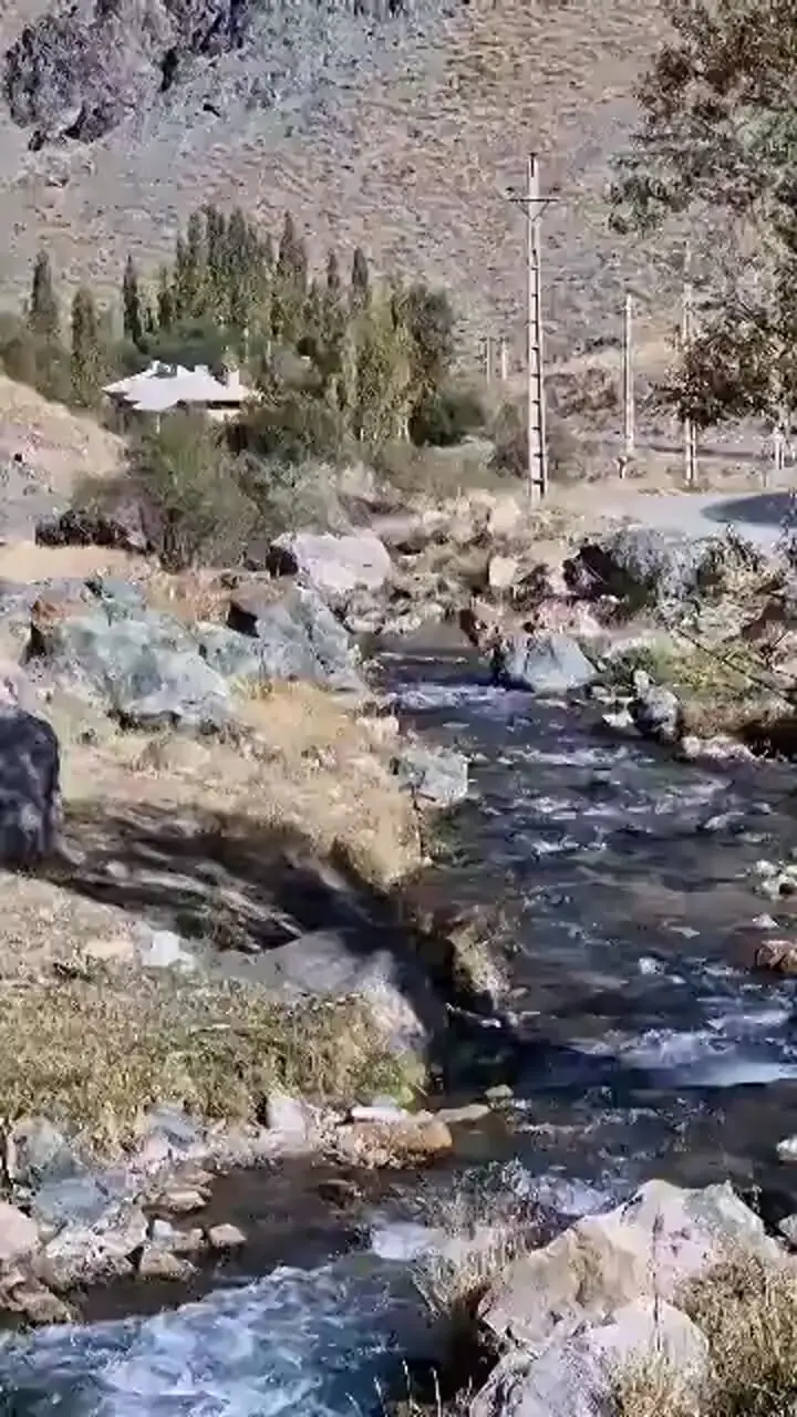 ببینید؛ بازیگوشی گله گوزن‌ها در البرز جنوبی
