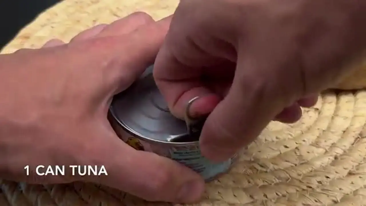 با ماکارونی، تخم مرغ و تن ماهی این غذای ساده آمریکایی را آماده کنید