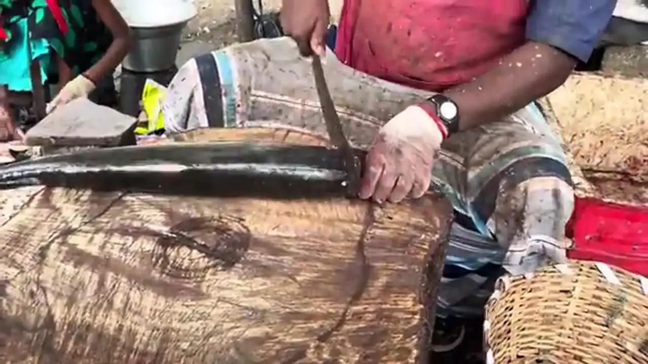 روش خاص ماهی فروش هندی در برش زدن کوسه سرچکشی