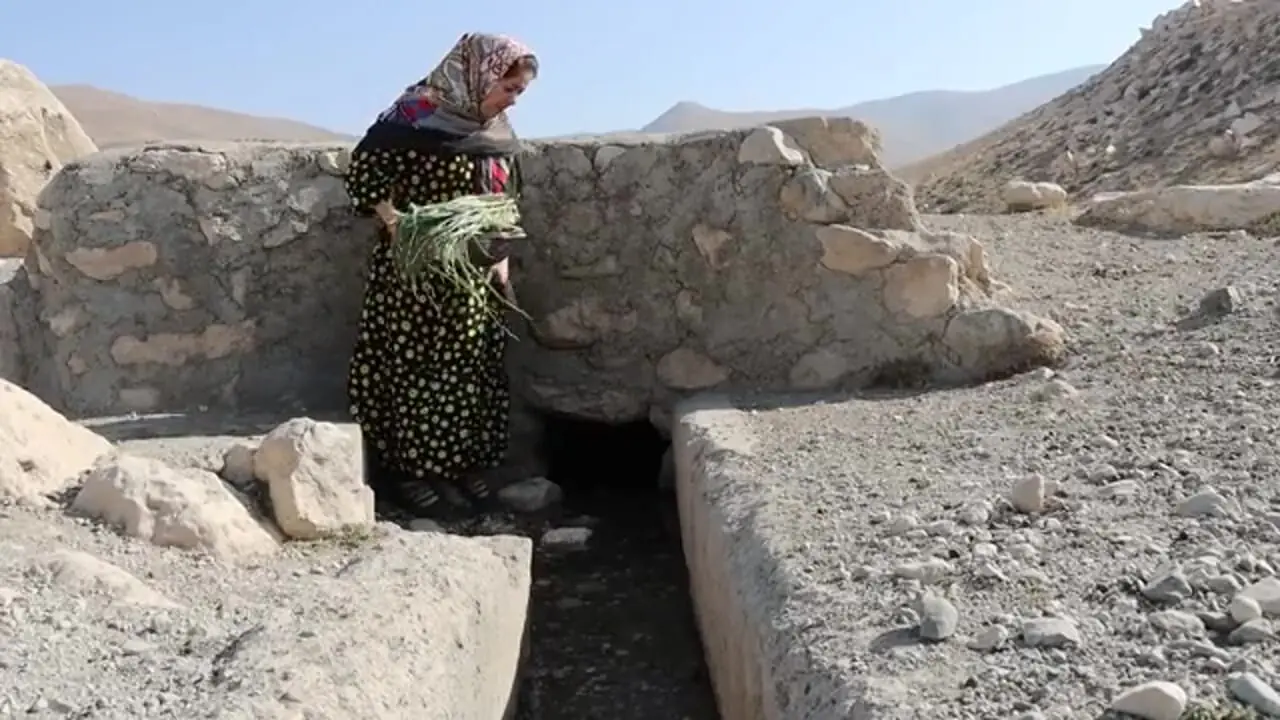 غذای روستایی در ایران؛ پخت مرغ ناردونی در روستایی کوهستانی