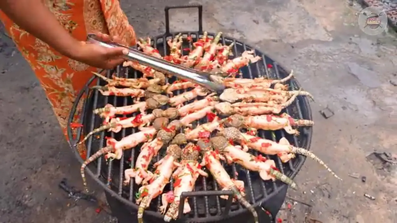 غذای روستایی در سنگاپور؛ کباب مارمولک گکو با کنجد روی زغال در طبیعت
