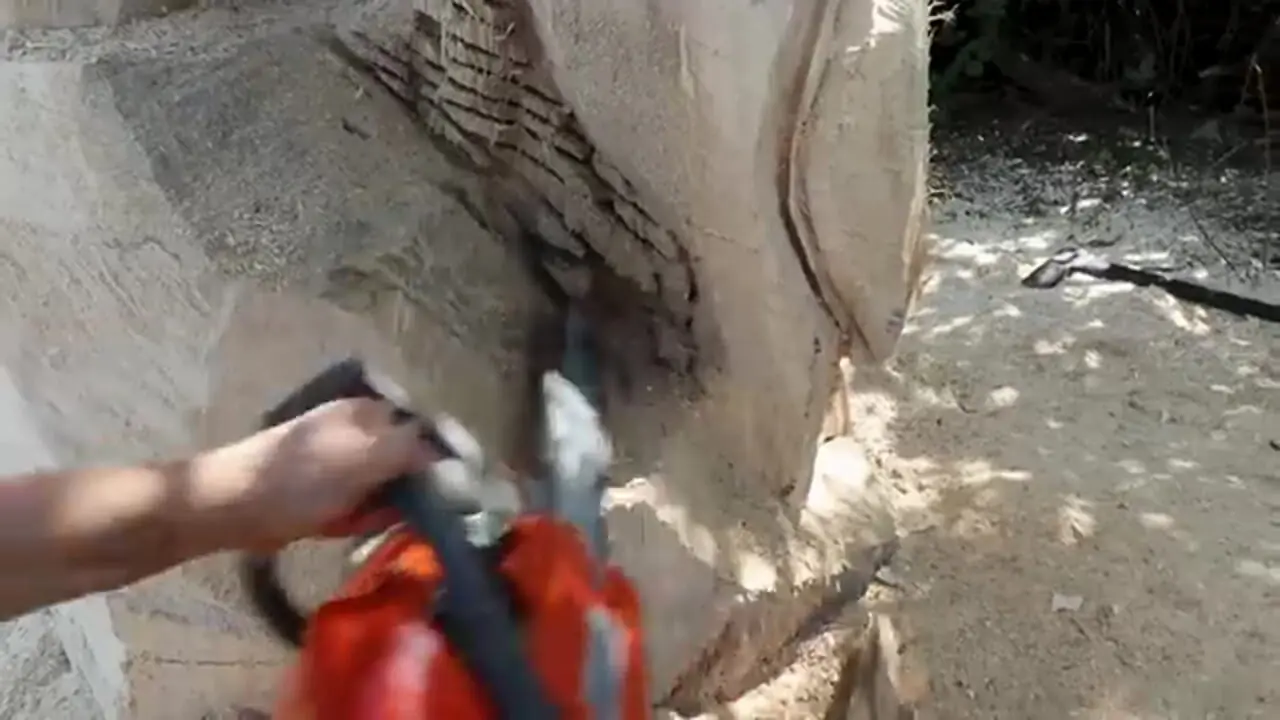 ببینید| مراحل دیدنی ساخت مجسمه چوبی گرگ و دو کلاغ با اره برقی 