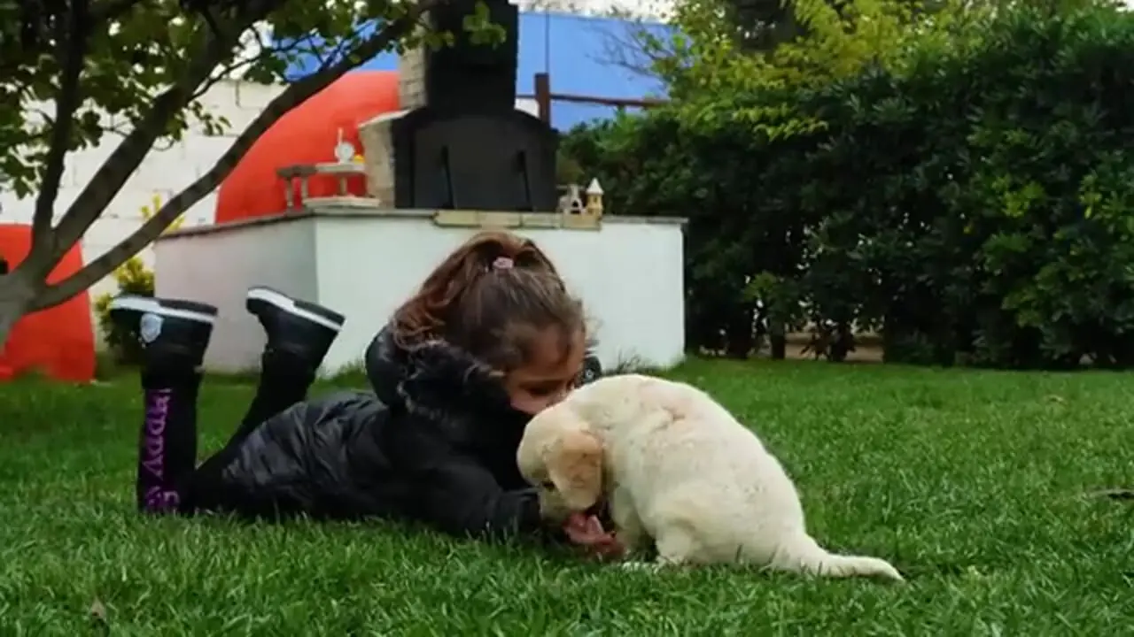 ببینید| غذای روستایی در آذربایجان؛ تهیه دونر کباب با مرغ به روشی سنتی