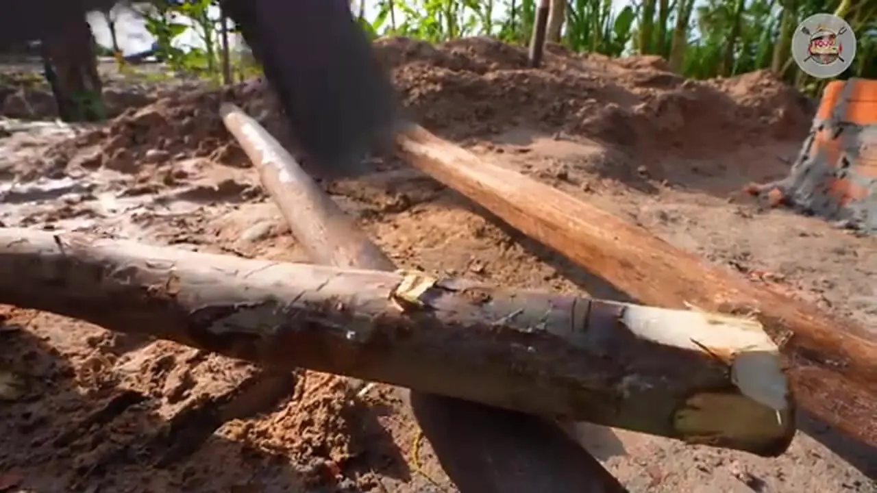 ببینید| غذای روستای در سنگاپور؛ کباب کردن ماهی در تنور زیر زمینی