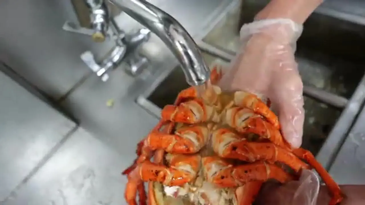 غذای خیابانی در آمریکا؛ تهیه سالاد با لابستر بزرگ و دراگون فروت در نیویورک