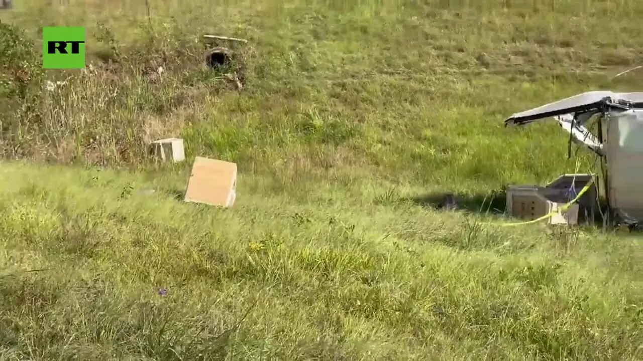 ببینید؛ فرار میمونهای آلوده پس از واژگونی کامیون در آمریکا