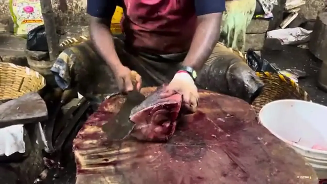 ببینید| مهارت و هنر ماهی فروش هندی در برش زدن ماهی تراولی در کنار خیابان