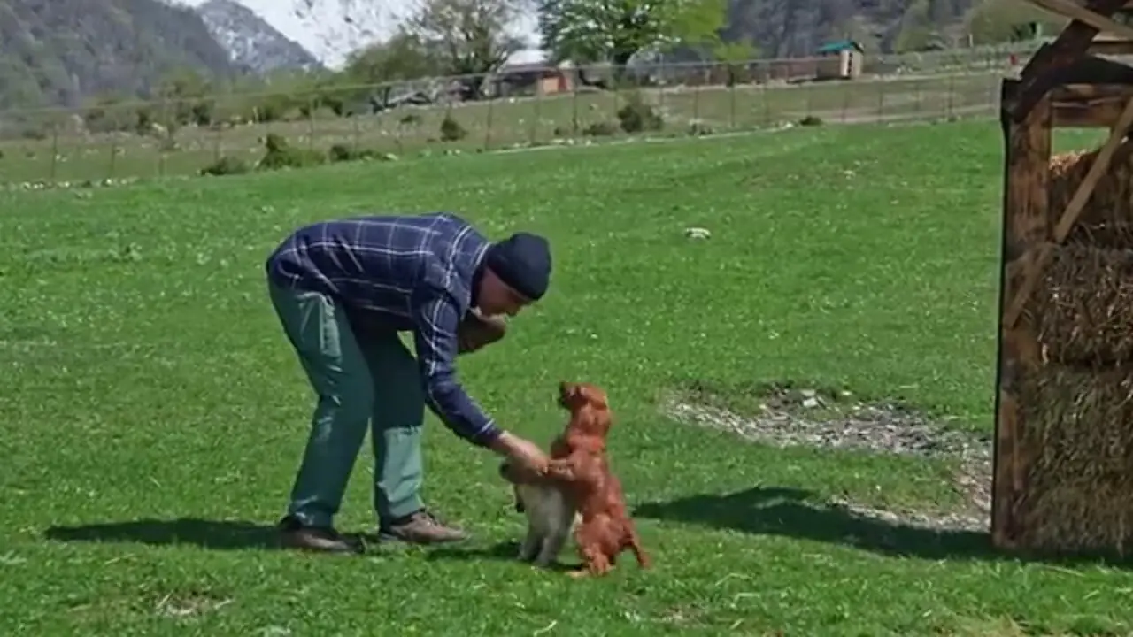 ببینید| غذای روستایی در آذربایجان؛ کباب گربه ماهی غول پیکر در روستایی کوهستانی