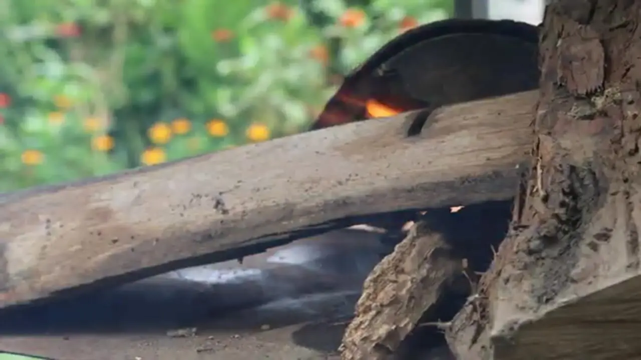 ببینید| غذای روستایی در آذربایجان؛ کباب اردک در بشکه در طبیعت زیبای روستا