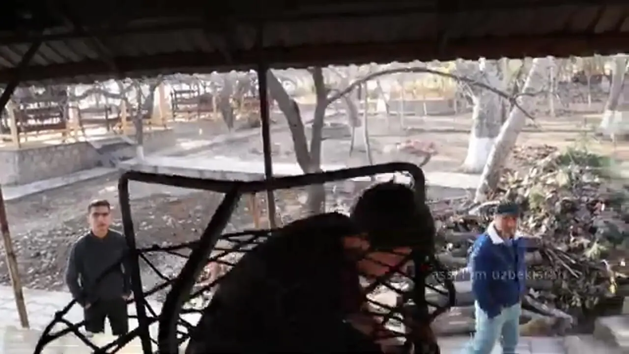 غذای خیابانی در ازبکستان؛ کباب کردن 20 مرغ کامل در تنور زیر زمینی در تاشکند