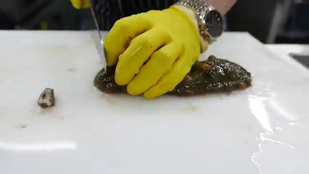 غذای خیابانی در کره؛ تهیه غذاهای خاص با خیار دریایی در بوسان