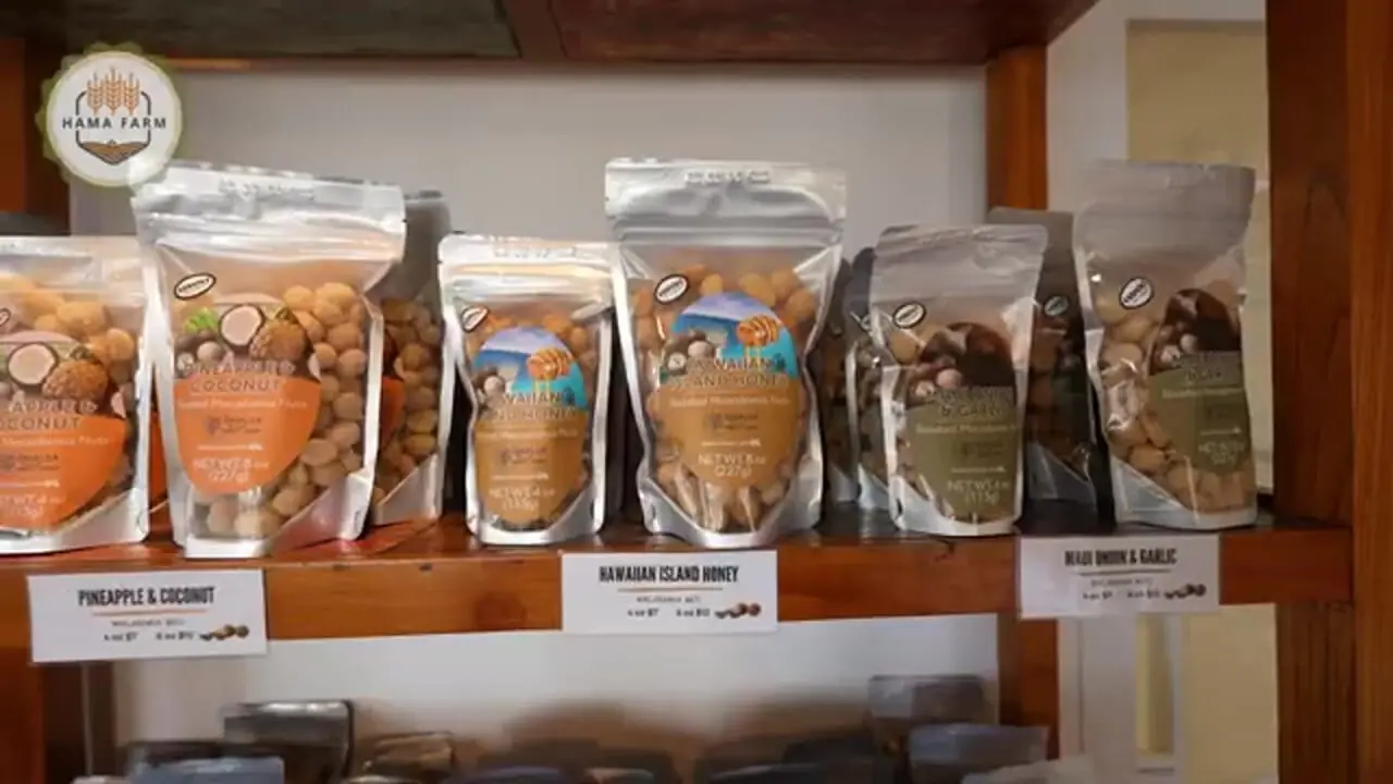 ببینید| چگونه صدها تن چای سبز در ژاپن برداشت و فرآوری می شود؟