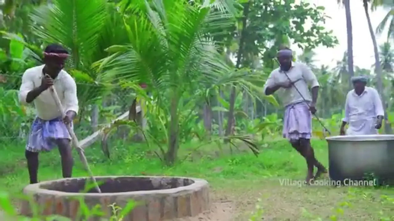 ببییند| غذای روستایی در هند؛ پخت بریانی با 3 بز در تنور زیر زمینی